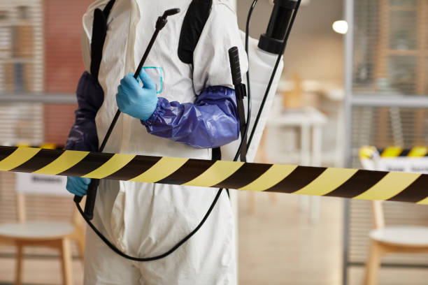 Professional Biohazard technician working in Cedarpines Park, CA
